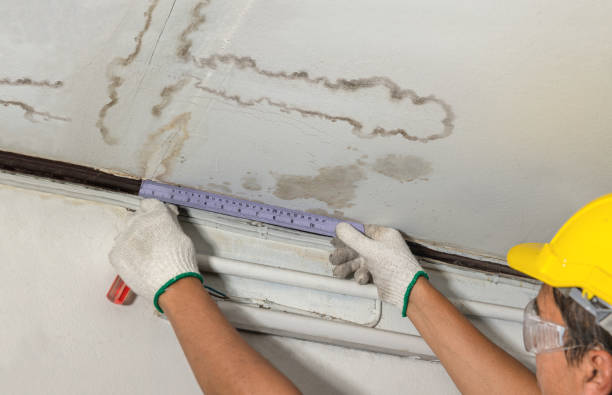 Reliable Mold Remediation contractor in Lowell, OR by Water Damage Irwin